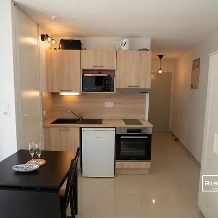 Riboleys -superbe T1 A 100m De La * Vias