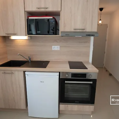 Riboleys Großartiges T1 100 M Vom Apartment