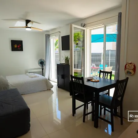 Riboleys -superbe T1 A 100m De La Apartment *